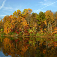 beautiful fall colors on arkansas river