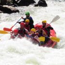 guests in raft dipping into the rapids on Clear Creek Raft Masters Tours Colorado